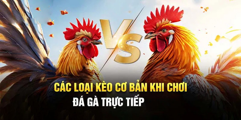 Giải trí với tiền thưởng siêu cao đang chờ bạn